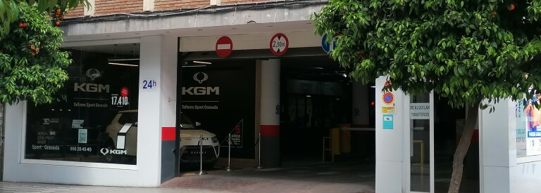 Rex Centro